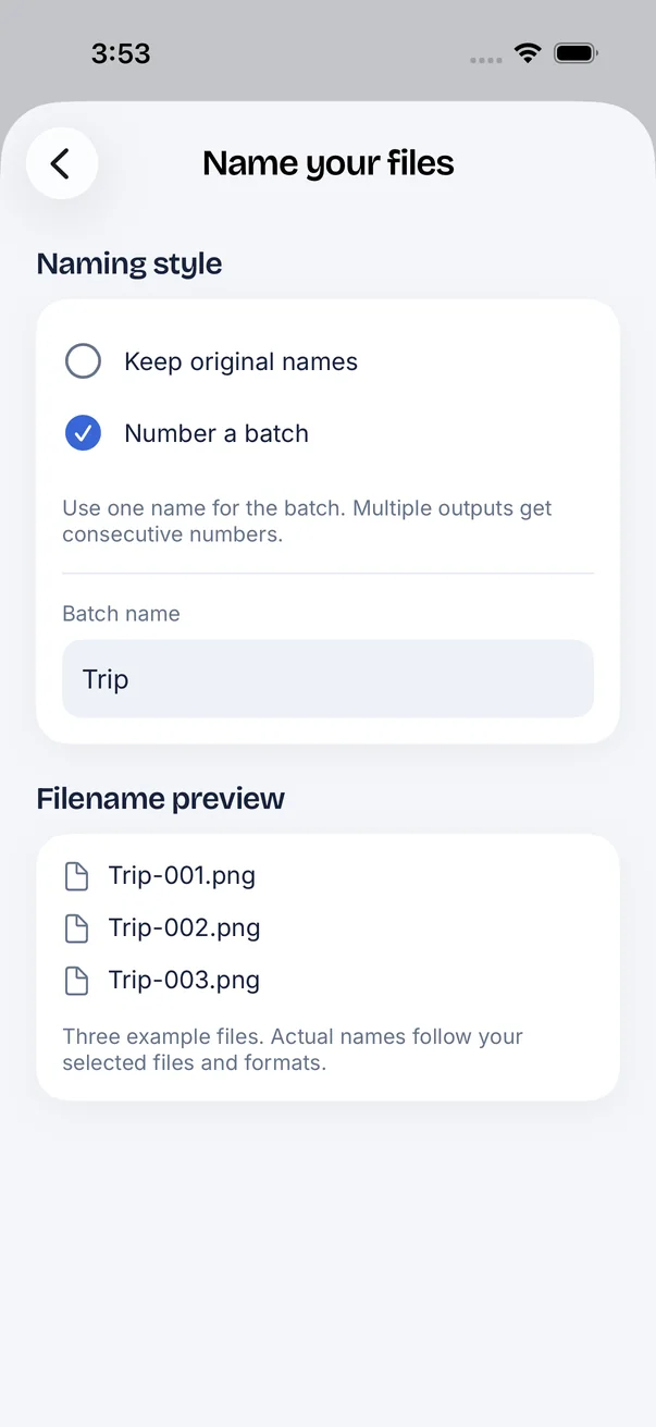FileSway Name your files screen: Number a batch is selected with the batch name Trip, and the filename preview lists Trip-001.png, Trip-002.png and Trip-003.png.